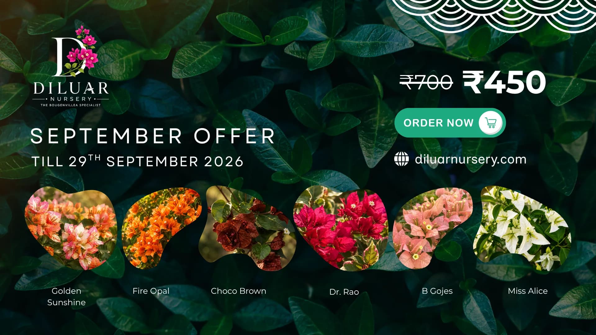 Super September